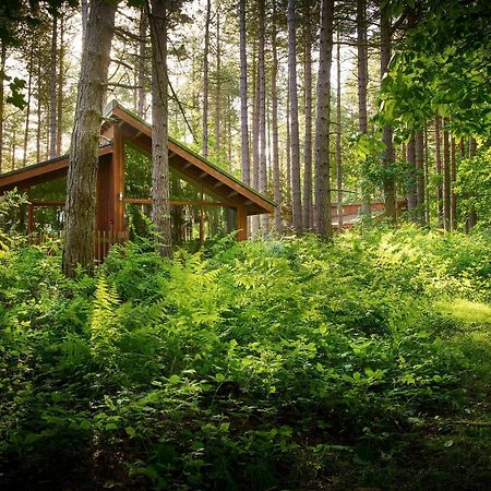Blackwood Forest Cabins - Forest Holidays Popham Extérieur photo