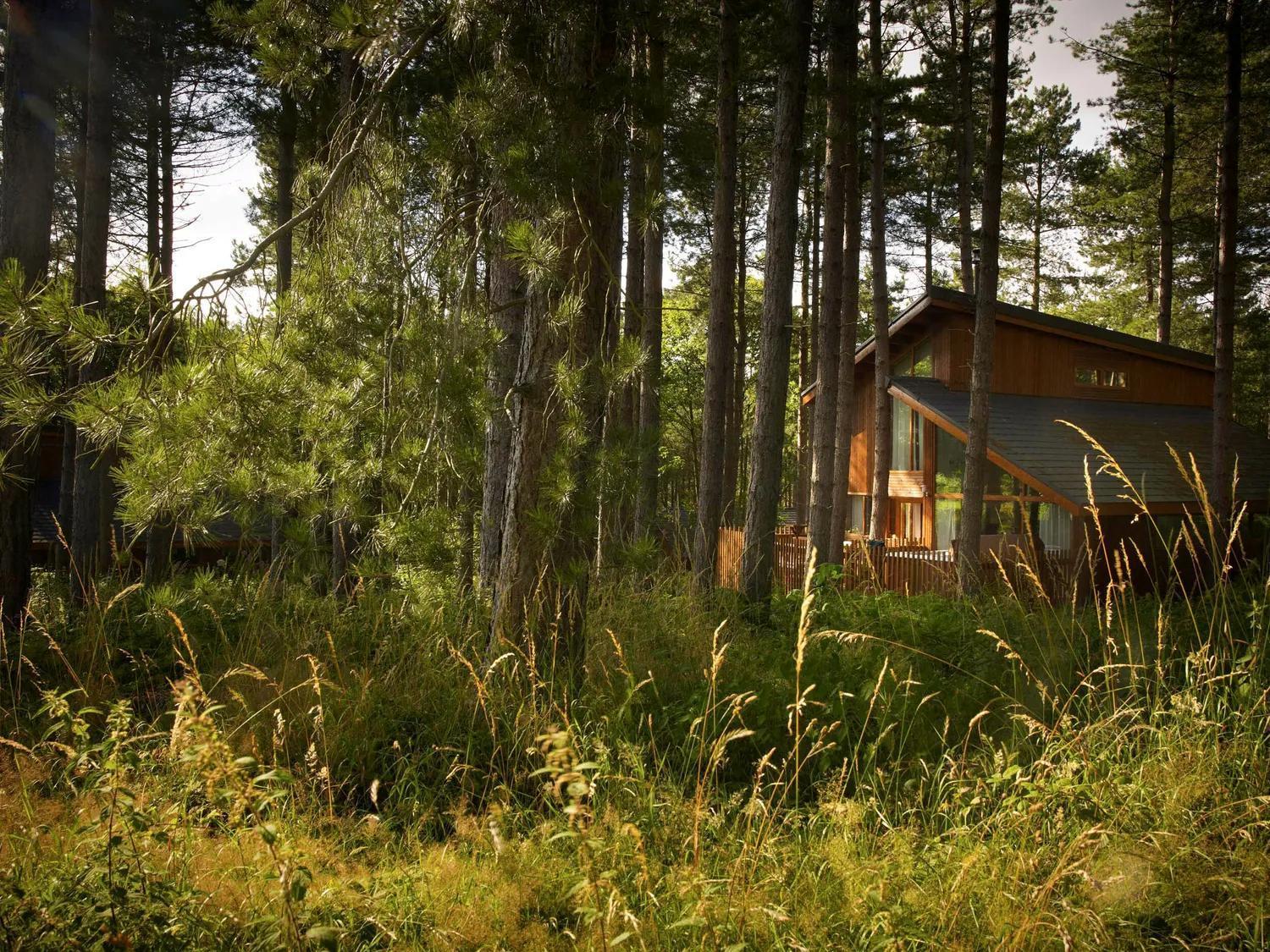 Blackwood Forest Cabins - Forest Holidays Popham Extérieur photo