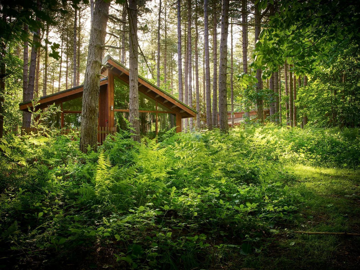 Blackwood Forest Cabins - Forest Holidays Popham Extérieur photo
