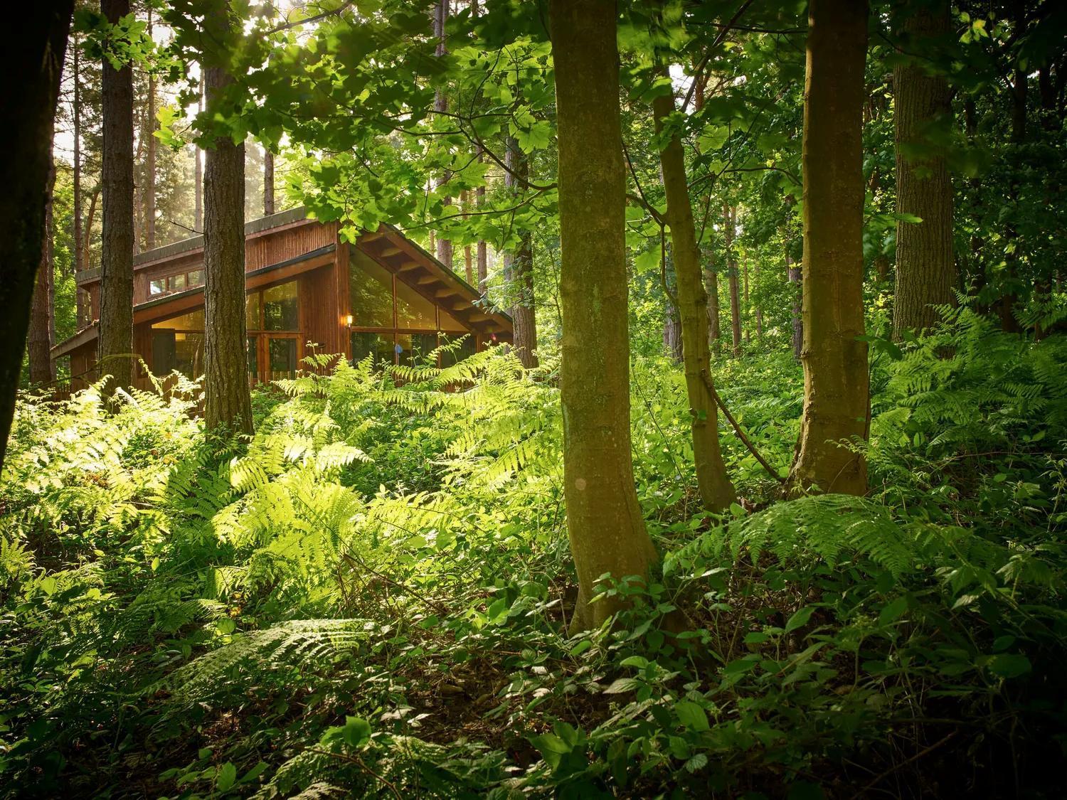 Blackwood Forest Cabins - Forest Holidays Popham Extérieur photo