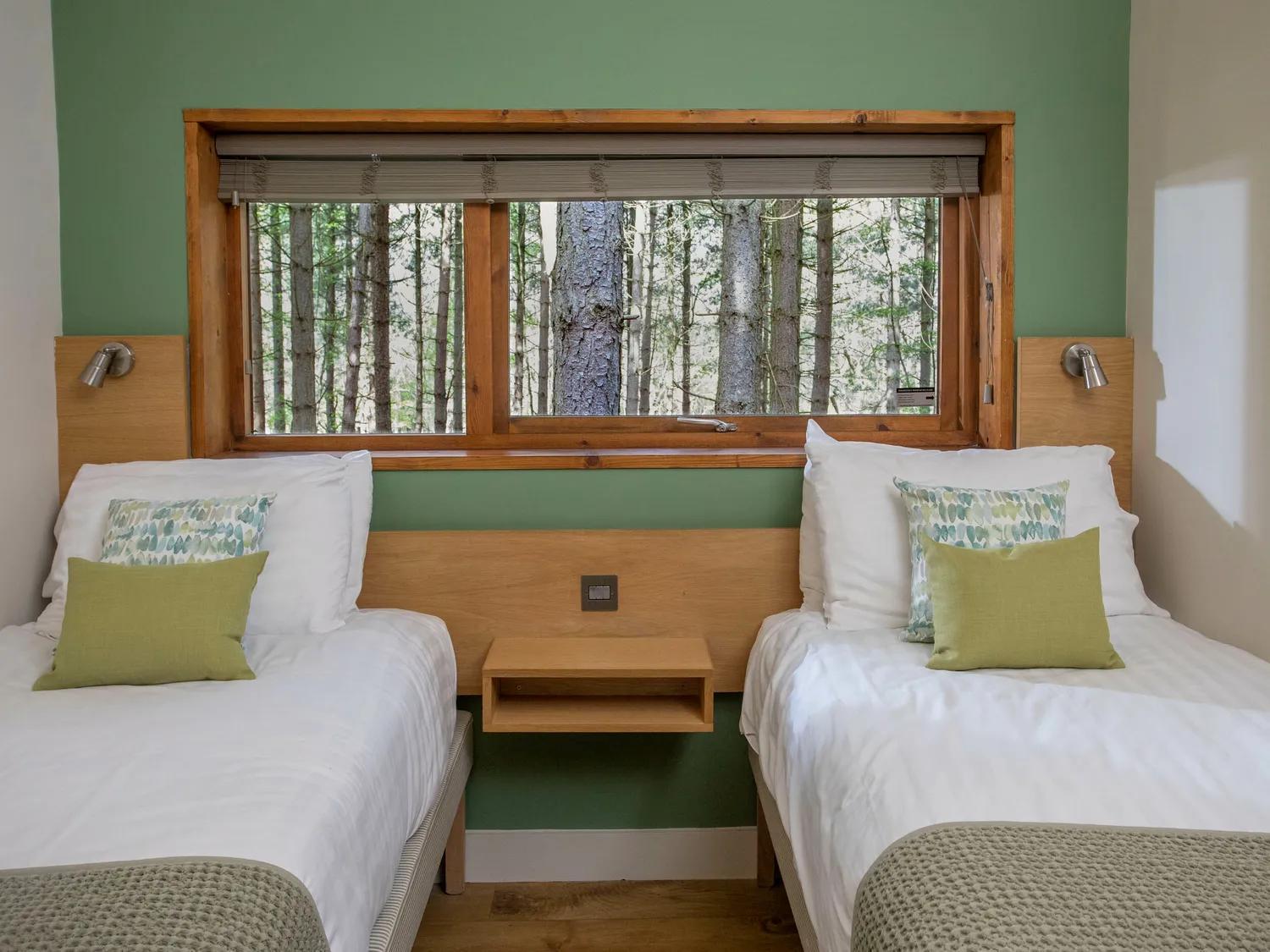 Blackwood Forest Cabins - Forest Holidays Popham Extérieur photo