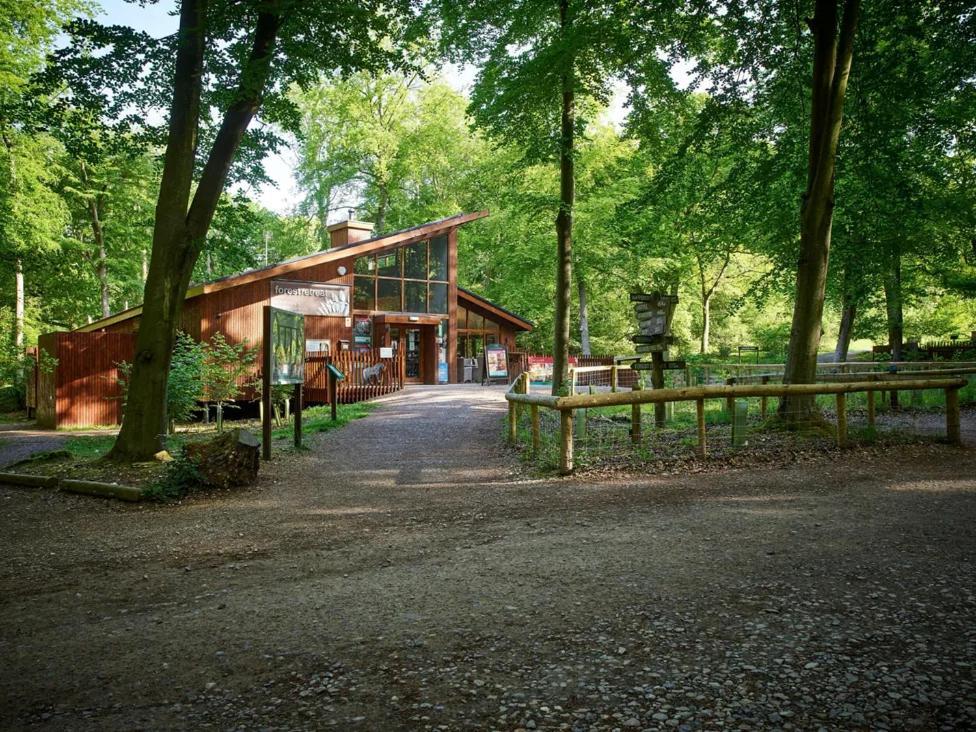 Blackwood Forest Cabins - Forest Holidays Popham Extérieur photo